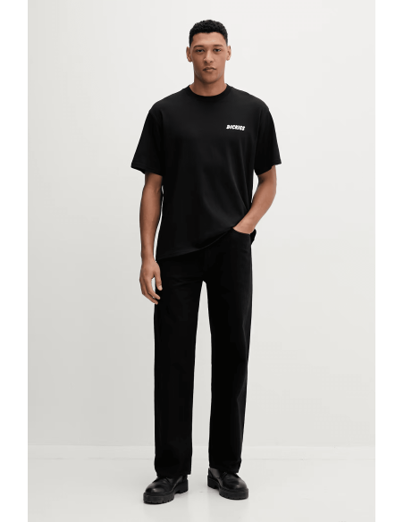 copy of Dickies T-Shirt Summerdale Brown Duck - DK0A4YAI0BD
