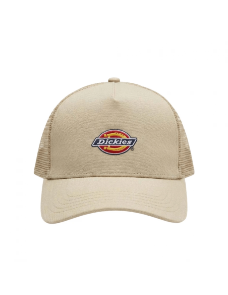 DICKIES HANSTON TRUCKER EUCALYPTUS - DK0A4YV3L441