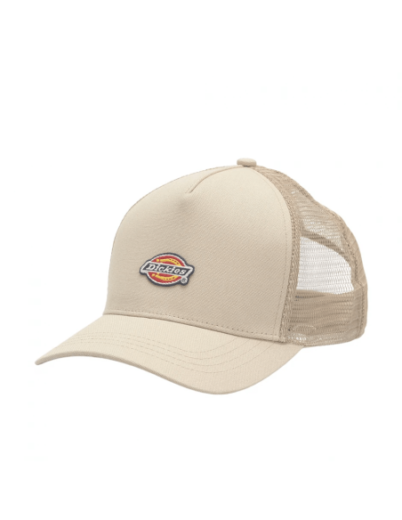 DICKIES HANSTON TRUCKER EUCALYPTUS - DK0A4YV3L441