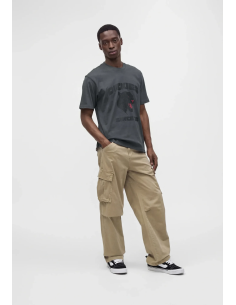 Dickies MCDERMITT SS... 2