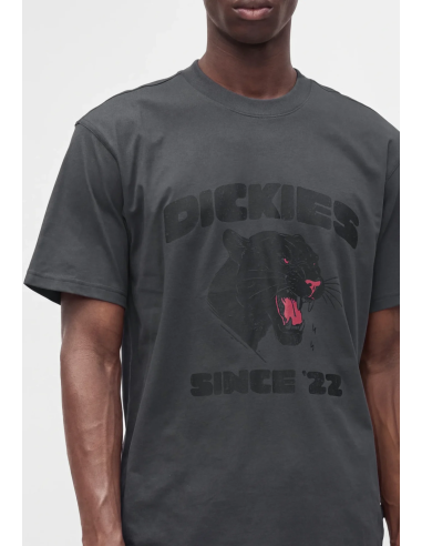 Dickies MCDERMITT SS T-Shirt M -...