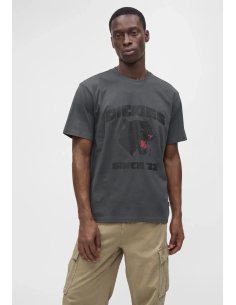 Dickies MCDERMITT SS...