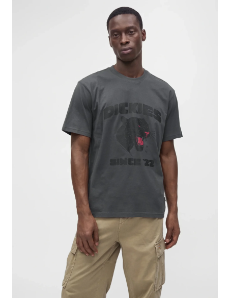 Dickies MCDERMITT SS T-Shirt M - DK0A8CU20CH1
