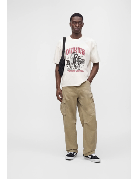 Dickies Titusville SS T-Shirt M - DK0A8CIMC481