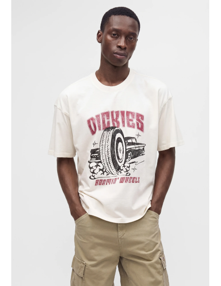 Dickies Titusville SS T-Shirt M - DK0A8CIMC481