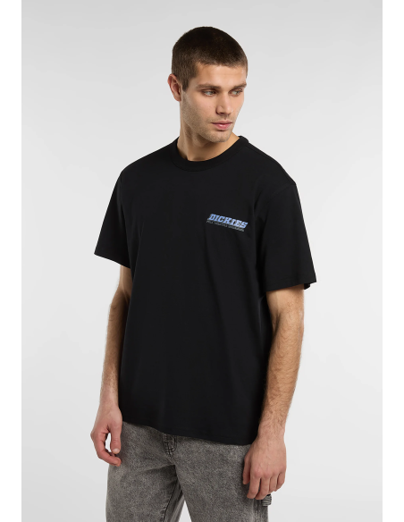 Dickies Lakeridge SS Tee M - DK0A8D3HBLK1