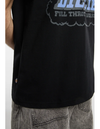 Dickies Lakeridge SS Tee M -...