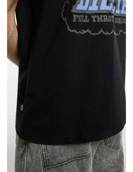 Dickies Lakeridge SS Tee M - DK0A8D3HBLK1