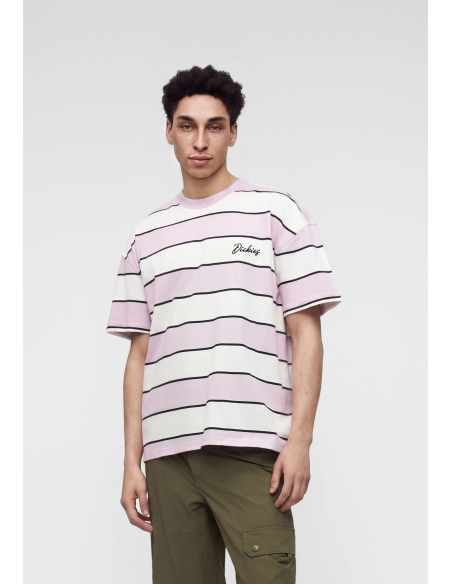Dickies Embroidery Stripe SS Tee M - DK0A8CVPECR1