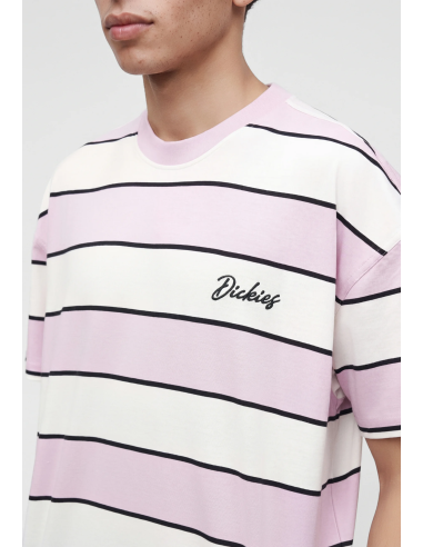 Dickies Embroidery Stripe SS Tee M -...