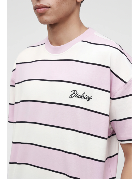 Dickies Embroidery Stripe SS Tee M - DK0A8CVPECR1