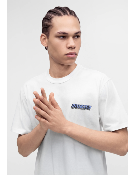 Dickies Lakeridge SS Tee M - DK0A8D3H0WH1