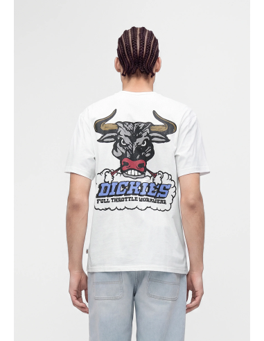 Dickies Lakeridge SS Tee M -...