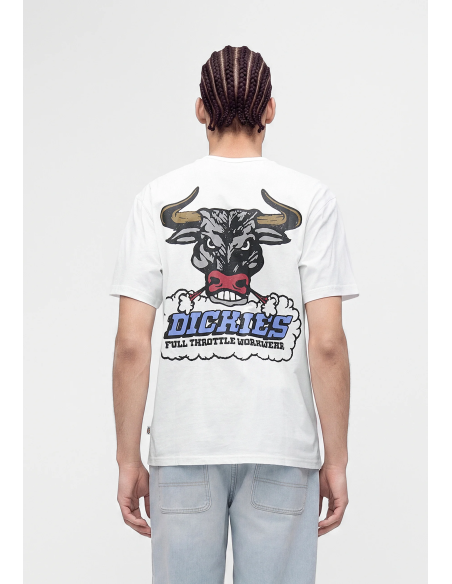 Dickies Lakeridge SS Tee M - DK0A8D3H0WH1