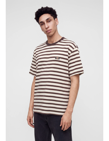 Dickies Stripe SS Tee M - DK0A8CD5CBX1