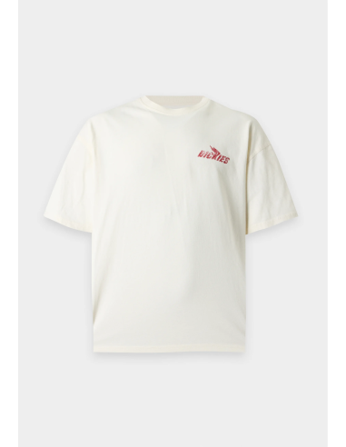 Dickies Shonto SS Tee M - DK0A8CCLC481