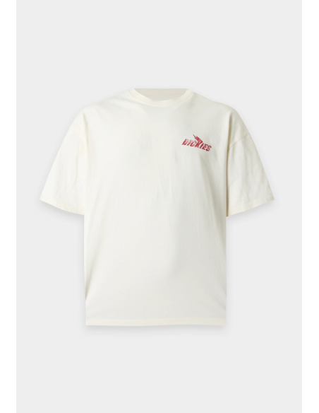 Dickies Shonto SS Tee M - DK0A8CCLC481