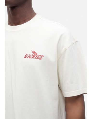 Dickies Shonto SS Tee M - DK0A8CCLC481