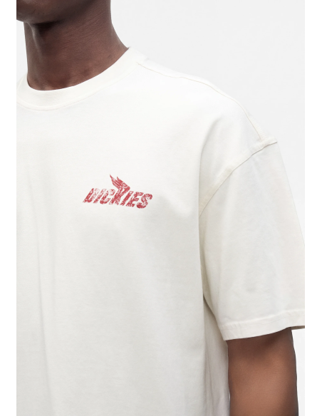 Dickies Shonto SS Tee M - DK0A8CCLC481