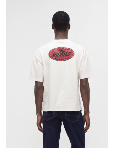 Dickies Shonto SS Tee M - DK0A8CCLC481