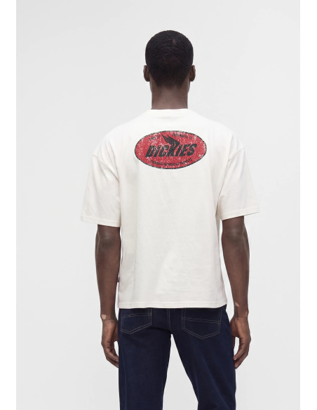 Dickies Shonto SS Tee M - DK0A8CCLC481