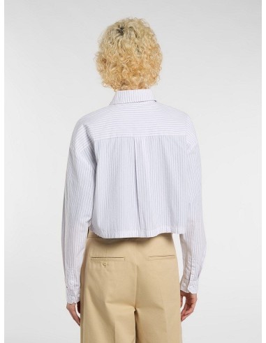 Dickies Shalimar Cropped Tee W -...