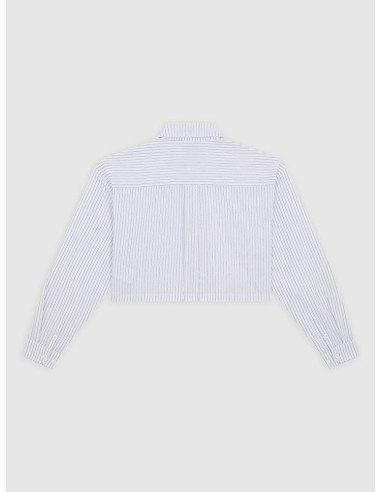 Dickies Shalimar Cropped Tee W -...