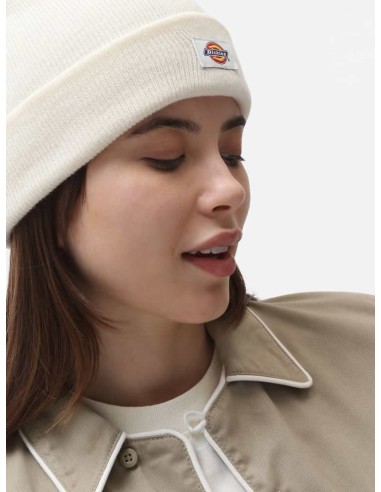 Dickies Gibsland Beanie Ecru -...