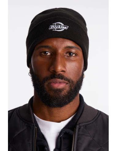 Dickies Summerdale Beanie Black -...