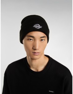 Dickies Summerdale Beanie...