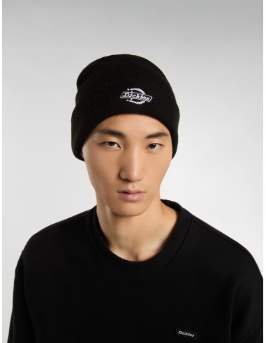 Dickies Summerdale Beanie Black -...