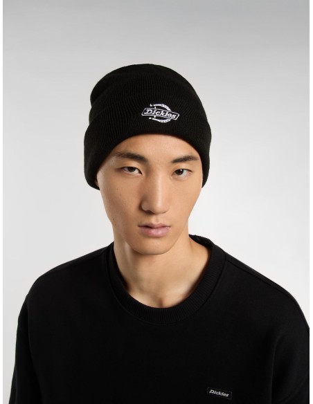 Dickies Summerdale Beanie Black - DK0A87NGBLK