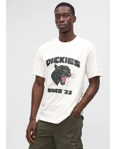 Dickies MCDERMITT SS Tee M -...