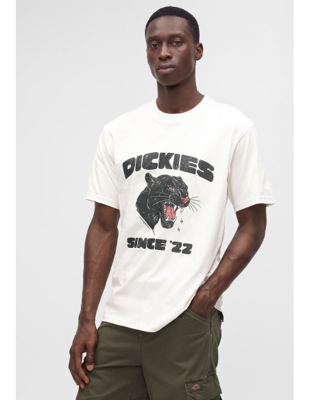 Dickies MCDERMITT SS Tee M - DK0A8CU2C481