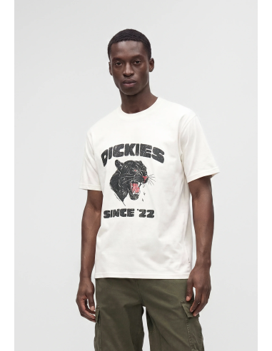 Dickies MCDERMITT SS Tee M -...