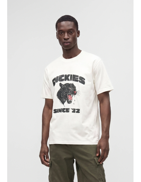 Dickies MCDERMITT SS Tee M - DK0A8CU2C481