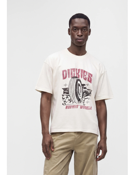 Dickies MCDERMITT SS Tee M - DK0A8CU2C481