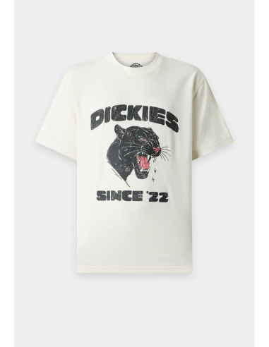 Dickies MCDERMITT SS Tee M -...