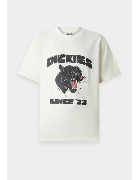 Dickies MCDERMITT SS Tee M - DK0A8CU2C481